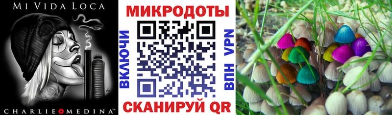 Галлюциногенные грибы MAGIC MUSHROOMS Коркино