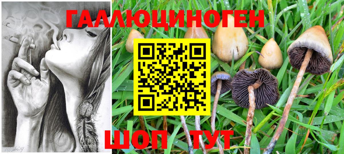 Галлюциногенные грибы мицелий  Галлюциногенные грибы Psilocybine cubensis  Вход с VPN  Коркино 