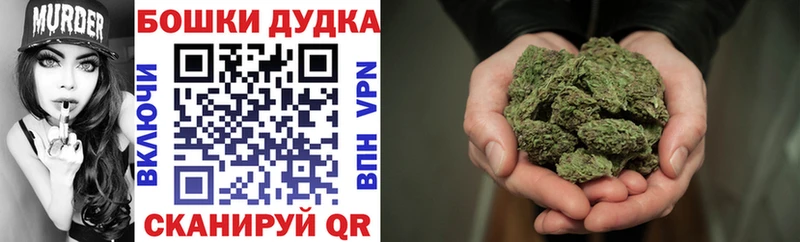 Конопля OG Kush  как найти   Коркино 